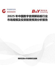 2025年中国数字音频解码板行业市场规模及投资前景预测分析报告