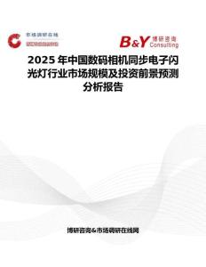 2025年中国数码相机同步电子闪光灯行业市场规模及投资前景预测分析报告