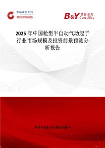 2025年中国枪型半自动气动起子行业市场规模及投资前景预测分析报告