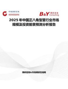 2025年中國正八角型管行業(yè)市場規(guī)模及投資前景預(yù)測分析報(bào)告
