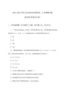 山東省泰安市物理高二上學(xué)期期末試卷與參考答案(2024-2025學(xué)年)