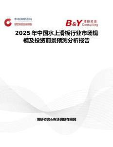 2025年中国水上滑板行业市场规模及投资前景预测分析报告