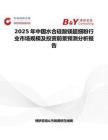 2025年中國水合硅酸鎂超細粉行業市場規模及投資前景預測分析報告