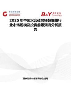 2025年中国水合硅酸镁超细粉行业市场规模及投资前景预测分析报告