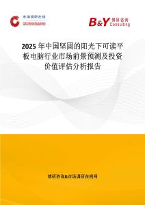 2025年中國堅固的陽光下可讀平板電腦行業市場前景預測及投資價值評估分析報告