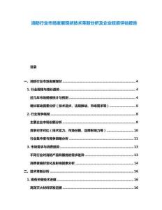 消防行業(yè)市場(chǎng)發(fā)展現(xiàn)狀技術(shù)革新分析及企業(yè)投資評(píng)估報(bào)告