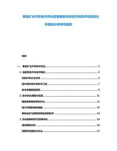 黃金礦業(yè)開采技術優(yōu)化資源儲量評估經(jīng)濟風險評估投資分析規(guī)劃分析研究報告