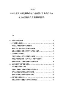 2025-2030合肥人工智能服務器核心部件國產化替代技術突破方向及相關產業發展規劃報告