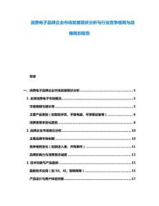 消費(fèi)電子品牌企業(yè)市場(chǎng)發(fā)展現(xiàn)狀分析與行業(yè)競(jìng)爭(zhēng)格局與戰(zhàn)略規(guī)劃報(bào)告