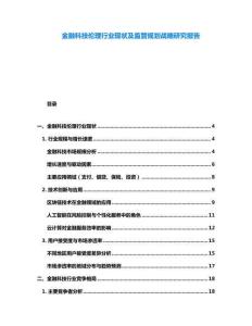 金融科技倫理行業現狀及監管規劃戰略研究報告