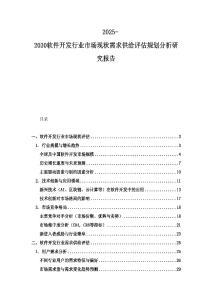 2025-2030軟件開發行業市場現狀需求供給評估規劃分析研究報告
