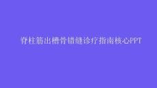 脊柱筋出槽骨錯縫診療指南核心PPT