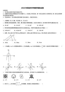 2026年阜阳市中考数学模拟试卷（含答案解析）