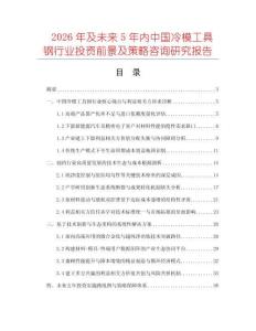 2026年及未来5年内中国冷模工具钢行业投资前景及策略咨询研究报告