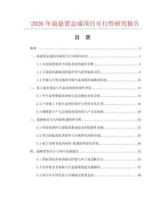 2026年前悬置总成项目可行性研究报告