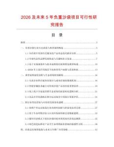 2026及未来5年负重沙袋项目可行性研究报告