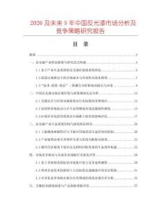 2026及未来5年中国反光漆市场分析及竞争策略研究报告