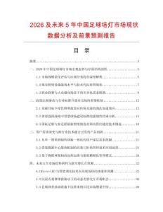 2026及未来5年中国足球场灯市场现状数据分析及前景预测报告