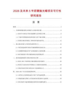 2026及未来5年研磨抛光蜡项目可行性研究报告
