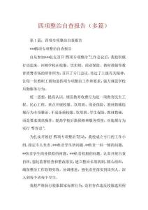 四項整治自查報告(多篇)