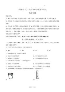 2026年四川省泸州市中考化学试卷真题打印版