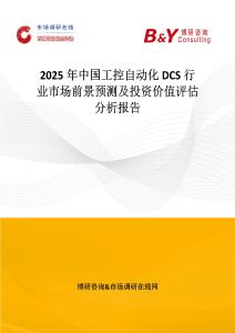 2025年中国工控自动化DCS行业市场前景预测及投资价值评估分析报告