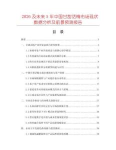 2026及未来5年中国甘甜话梅市场现状数据分析及前景预测报告