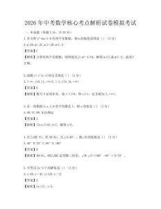 2026年中考数学核心考点解析试卷模拟考试