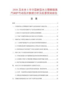 2026及未来5年中国新型水火管燃煤蒸汽锅炉市场现状数据分析及前景预测报告