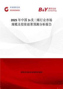 2025年中國3-戊二烯行業市場規模及投資前景預測分析報告