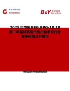 2025年中國PEGPPG-1818 聚二甲基硅氧烷市場占有率及行業競爭格局分析報告