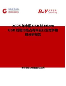 2025年中國USB轉Micro USB線纜市場占有率及行業競爭格局分析報告