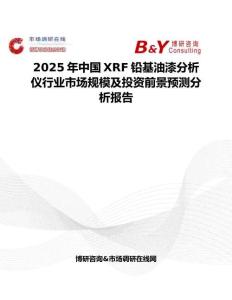 2025年中國XRF鉛基油漆分析儀行業市場規模及投資前景預測分析報告