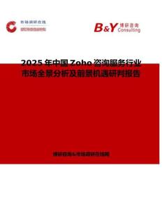 2025年中國Zoho咨詢服務行業市場全景分析及前景機遇研判報告