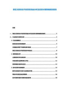 景區文旅綜合開發項目效益分析及投資長期策略規劃報告