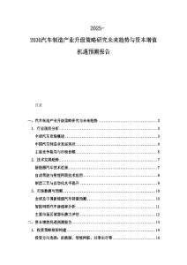 2025-2030汽車(chē)制造產(chǎn)業(yè)升級(jí)策略研究未來(lái)趨勢(shì)與資本增值機(jī)遇預(yù)測(cè)報(bào)告