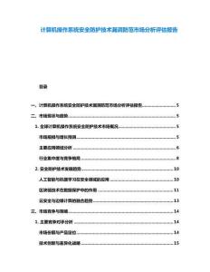 計算機操作系統(tǒng)安全防護技術(shù)漏洞防范市場分析評估報告