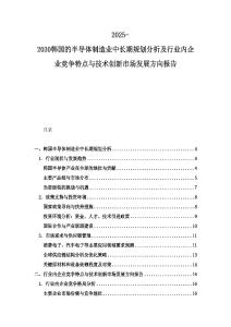 2025-2030韓國的半導(dǎo)體制造業(yè)中長期規(guī)劃分析及行業(yè)內(nèi)企業(yè)競爭特點(diǎn)與技術(shù)創(chuàng)新市場發(fā)展方向報(bào)告