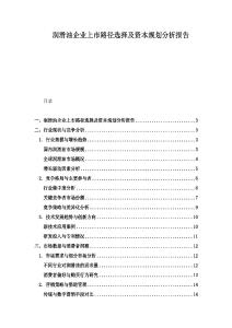 潤滑油企業上市路徑選擇及資本規劃分析報告