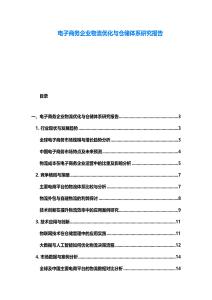 電子商務企業物流優化與倉儲體系研究報告