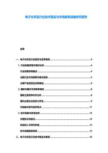 电子化学品行业技术壁垒与市场前景战略研究报告
