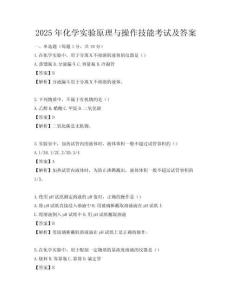2025年化学实验原理与操作技能考试及答案
