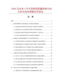 2026及未來5年中國斜網(wǎng)籃置物架市場分析及競爭策略研究報告