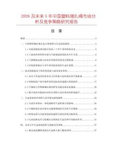 2026及未來5年中國塑料捆扎繩市場分析及競爭策略研究報告