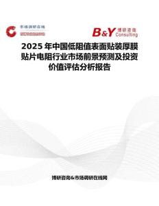 2025年中國低阻值表面貼裝厚膜貼片電阻行業市場前景預測及投資價值評估分析報告