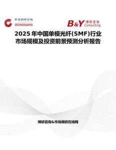 2025年中国单模光纤(SMF)行业市场规模及投资前景预测分析报告