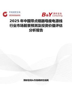 2025年中國帶點煙器母座電源線行業市場前景預測及投資價值評估分析報告