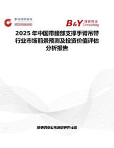 2025年中國帶腰部支撐手臂吊帶行業市場前景預測及投資價值評估分析報告