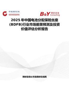 2025年中國電池分配保險絲座(BDFB)行業市場前景預測及投資價值評估分析報告