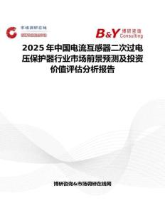2025年中國電流互感器二次過電壓保護器行業市場前景預測及投資價值評估分析報告